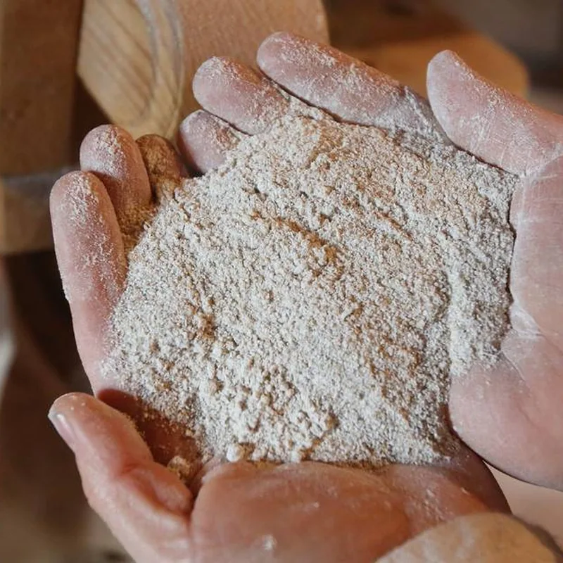 Glutenfreies Mehl in einer Hand — hausgemachte Mehlmischungen